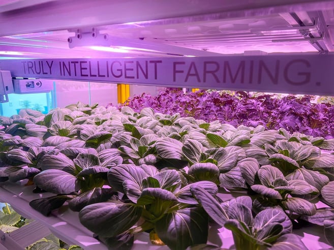 Hardware-as-a-service (HaaS) AGEYE vertical farming systems