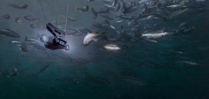 Hardware-as-a-service (HaaS) Aquabyte AI-powered underwater cameras for fish farming