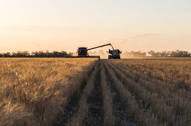 Hardware-as-a-service (HaaS) Cropify AI-powered grain grader for agriculture